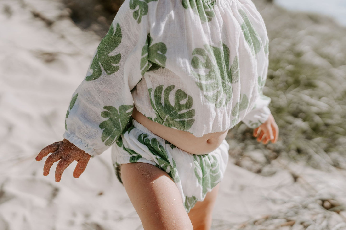 MONSTERA SET