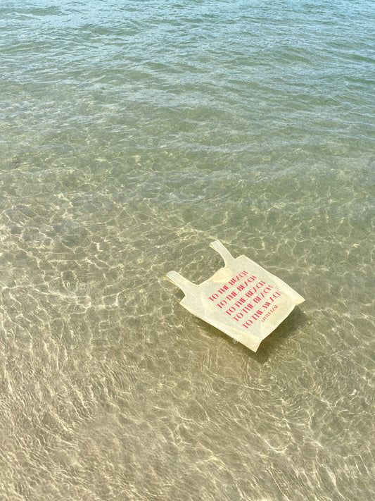THE BEACH BAG
