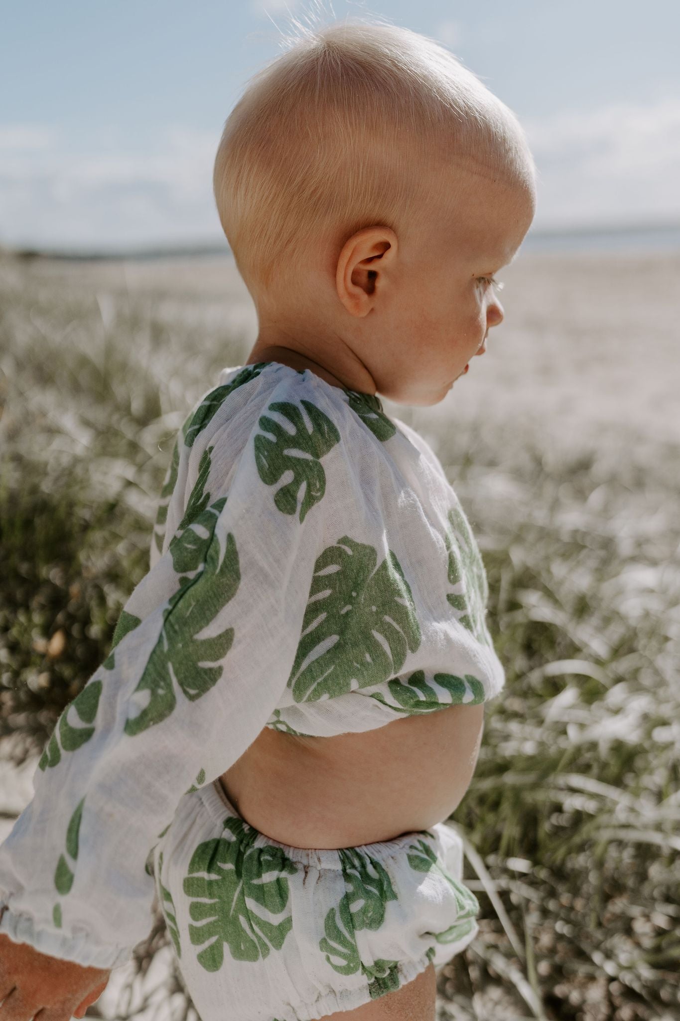 MONSTERA SET