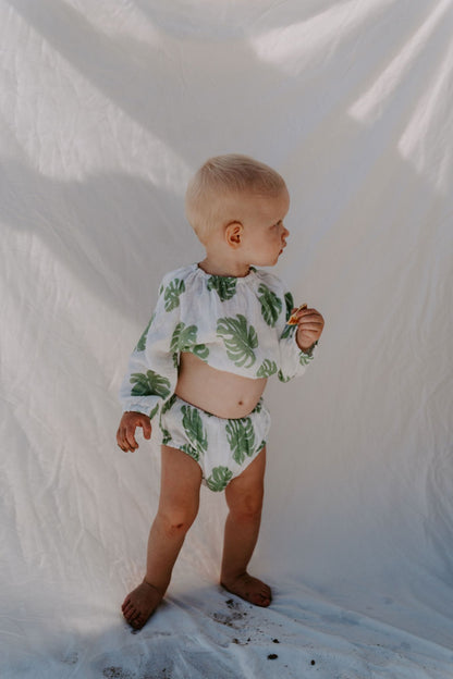 MONSTERA SET